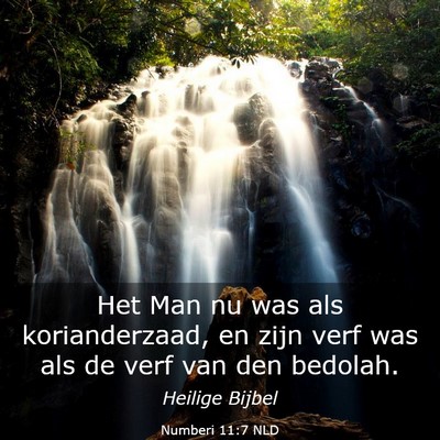 Picture 03 - Numberi 11:7 NLD - Het Man nu was als korianderzaad, en zijn verf - Bible Verse Picture