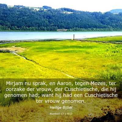 Picture 03 - Numberi 12:1 NLD - Mirjam nu sprak, en Aaron, tegen Mozes, ter - Bible Verse Picture