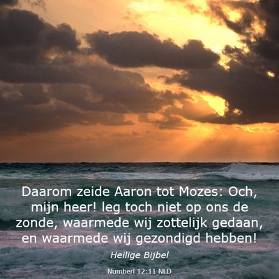 Picture 03 - Numberi 12:11 NLD - Daarom zeide Aaron tot Mozes: Och, mijn heer! leg - Bible Verse Picture