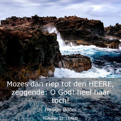 Picture 03 - Numberi 12:13 NLD - Mozes dan riep tot den HEERE, zeggende: O God! - Bible Verse Picture