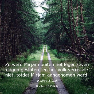 Picture 03 - Numberi 12:15 NLD - Zo werd Mirjam buiten het leger zeven dagen - Bible Verse Picture