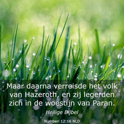 Picture 03 - Numberi 12:16 NLD - Maar daarna verreisde het volk van Hazeroth, en - Bible Verse Picture