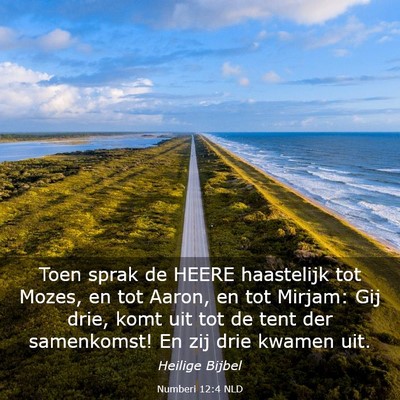 Picture 03 - Numberi 12:4 NLD - Toen sprak de HEERE haastelijk tot Mozes, en tot - Bible Verse Picture