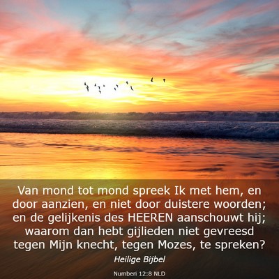 Picture 03 - Numberi 12:8 NLD - Van mond tot mond spreek Ik met hem, en door - Bible Verse Picture