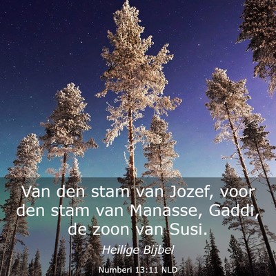 Picture 03 - Numberi 13:11 NLD - Van den stam van Jozef, voor den stam van - Bible Verse Picture