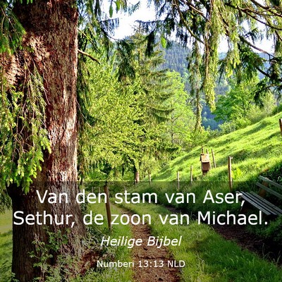 Picture 03 - Numberi 13:13 NLD - Van den stam van Aser, Sethur, de zoon van - Bible Verse Picture