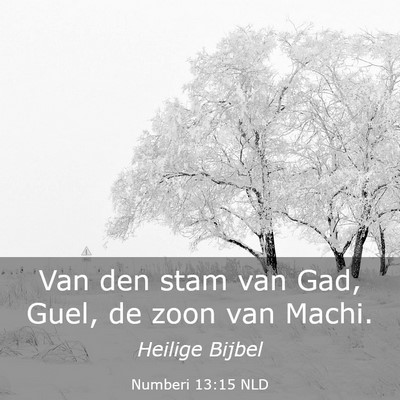 Picture 03 - Numberi 13:15 NLD - Van den stam van Gad, Guel, de zoon van - Bible Verse Picture
