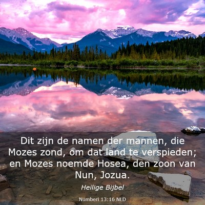 Picture 03 - Numberi 13:16 NLD - Dit zijn de namen der mannen, die Mozes zond, om - Bible Verse Picture
