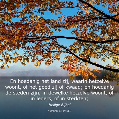 Picture 03 - Numberi 13:19 NLD - En hoedanig het land zij, waarin hetzelve woont, - Bible Verse Picture