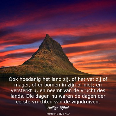 Picture 03 - Numberi 13:20 NLD - Ook hoedanig het land zij, of het vet zij of - Bible Verse Picture
