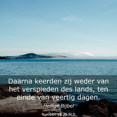 Picture 03 - Numberi 13:25 NLD - Daarna keerden zij weder van het verspieden des - Bible Verse Picture