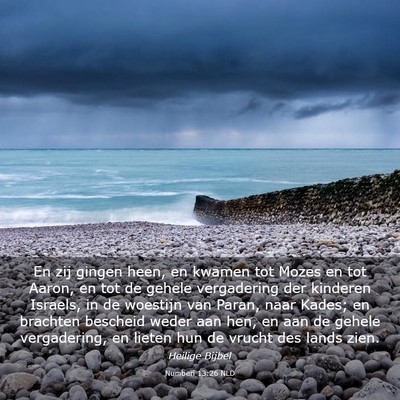 Picture 03 - Numberi 13:26 NLD - En zij gingen heen, en kwamen tot Mozes en tot - Bible Verse Picture