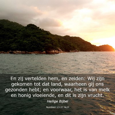 Picture 03 - Numberi 13:27 NLD - En zij vertelden hem, en zeiden: Wij zijn gekomen - Bible Verse Picture