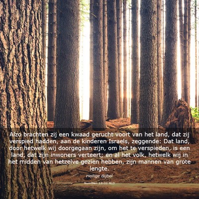 Picture 03 - Numberi 13:32 NLD - Alzo brachten zij een kwaad gerucht voort van het - Bible Verse Picture