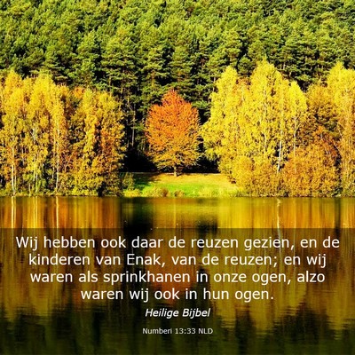 Picture 03 - Numberi 13:33 NLD - Wij hebben ook daar de reuzen gezien, en de - Bible Verse Picture