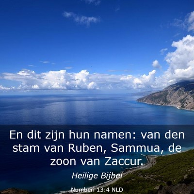 Picture 03 - Numberi 13:4 NLD - En dit zijn hun namen: van den stam van Ruben, - Bible Verse Picture