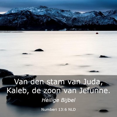 Picture 03 - Numberi 13:6 NLD - Van den stam van Juda, Kaleb, de zoon van - Bible Verse Picture