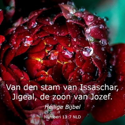 Picture 03 - Numberi 13:7 NLD - Van den stam van Issaschar, Jigeal, de zoon van - Bible Verse Picture