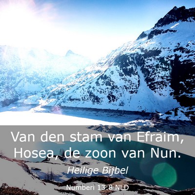 Picture 03 - Numberi 13:8 NLD - Van den stam van Efraim, Hosea, de zoon van - Bible Verse Picture