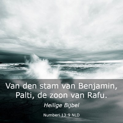 Picture 03 - Numberi 13:9 NLD - Van den stam van Benjamin, Palti, de zoon van - Bible Verse Picture
