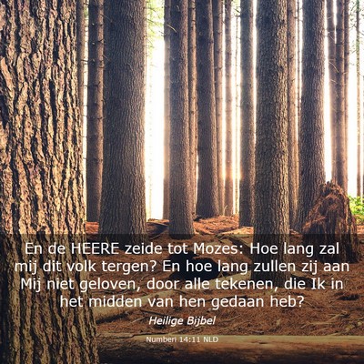 Picture 03 - Numberi 14:11 NLD - En de HEERE zeide tot Mozes: Hoe lang zal mij dit - Bible Verse Picture