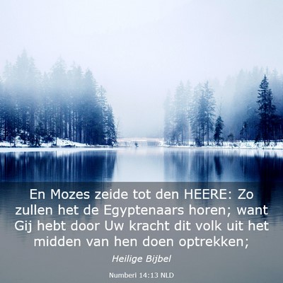 Picture 03 - Numberi 14:13 NLD - En Mozes zeide tot den HEERE: Zo zullen het de - Bible Verse Picture