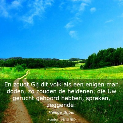 Picture 03 - Numberi 14:15 NLD - En zoudt Gij dit volk als een enigen man doden, - Bible Verse Picture