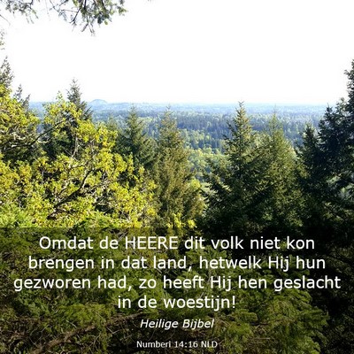 Picture 03 - Numberi 14:16 NLD - Omdat de HEERE dit volk niet kon brengen in dat - Bible Verse Picture