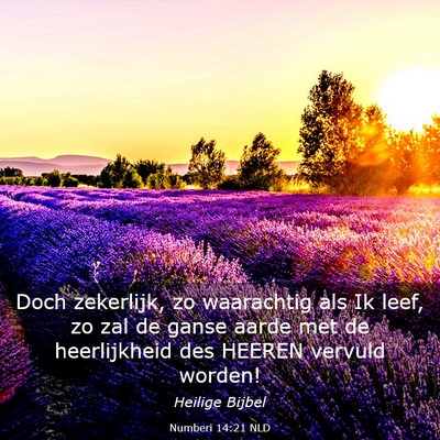 Picture 03 - Numberi 14:21 NLD - Doch zekerlijk, zo waarachtig als Ik leef, zo zal - Bible Verse Picture