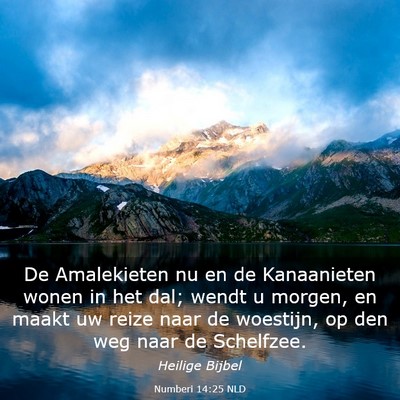 Picture 03 - Numberi 14:25 NLD - De Amalekieten nu en de Kanaanieten wonen in het - Bible Verse Picture