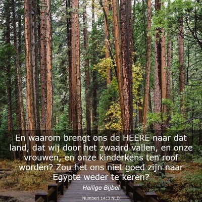 Picture 03 - Numberi 14:3 NLD - En waarom brengt ons de HEERE naar dat land, dat - Bible Verse Picture