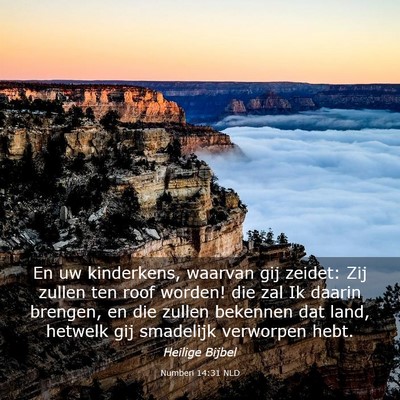 Picture 03 - Numberi 14:31 NLD - En uw kinderkens, waarvan gij zeidet: Zij zullen - Bible Verse Picture