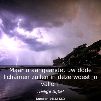 Picture 03 - Numberi 14:32 NLD - Maar u aangaande, uw dode lichamen zullen in deze - Bible Verse Picture
