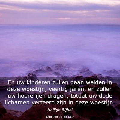Picture 03 - Numberi 14:33 NLD - En uw kinderen zullen gaan weiden in deze - Bible Verse Picture