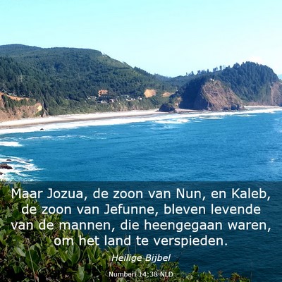 Picture 03 - Numberi 14:38 NLD - Maar Jozua, de zoon van Nun, en Kaleb, de zoon - Bible Verse Picture