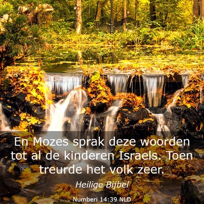 Picture 03 - Numberi 14:39 NLD - En Mozes sprak deze woorden tot al de kinderen - Bible Verse Picture
