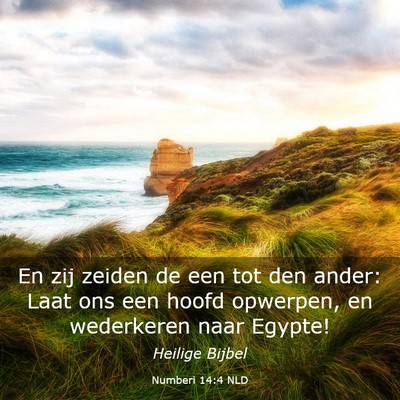 Picture 03 - Numberi 14:4 NLD - En zij zeiden de een tot den ander: Laat ons een - Bible Verse Picture