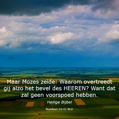 Picture 03 - Numberi 14:41 NLD - Maar Mozes zeide: Waarom overtreedt gij alzo het - Bible Verse Picture