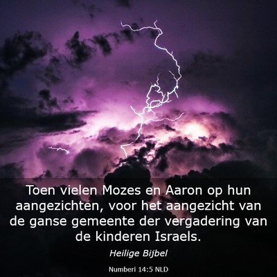Picture 03 - Numberi 14:5 NLD - Toen vielen Mozes en Aaron op hun aangezichten, - Bible Verse Picture