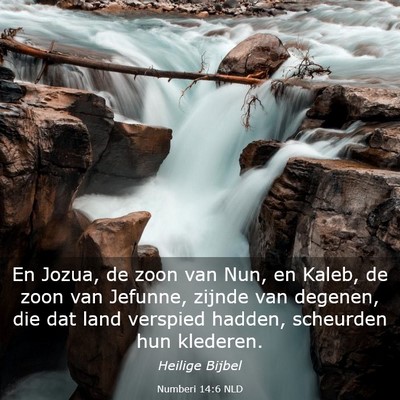 Picture 03 - Numberi 14:6 NLD - En Jozua, de zoon van Nun, en Kaleb, de zoon van - Bible Verse Picture