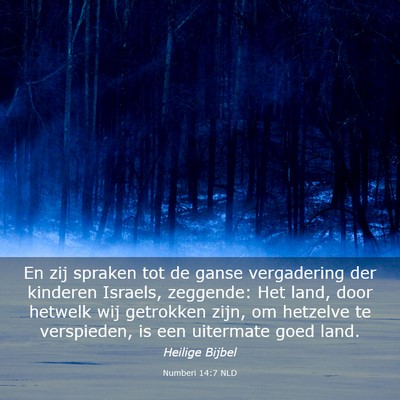 Picture 03 - Numberi 14:7 NLD - En zij spraken tot de ganse vergadering der - Bible Verse Picture
