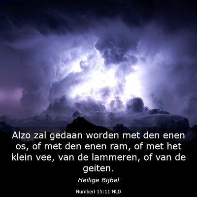 Picture 03 - Numberi 15:11 NLD - Alzo zal gedaan worden met den enen os, of met - Bible Verse Picture