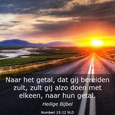 Picture 03 - Numberi 15:12 NLD - Naar het getal, dat gij bereiden zult, zult gij - Bible Verse Picture