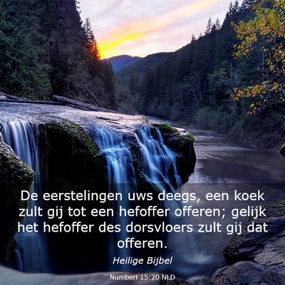Picture 03 - Numberi 15:20 NLD - De eerstelingen uws deegs, een koek zult gij tot - Bible Verse Picture