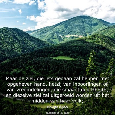 Picture 03 - Numberi 15:30 NLD - Maar de ziel, die iets gedaan zal hebben met - Bible Verse Picture