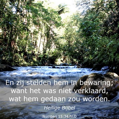 Picture 03 - Numberi 15:34 NLD - En zij stelden hem in bewaring; want het was niet - Bible Verse Picture