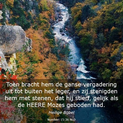 Picture 03 - Numberi 15:36 NLD - Toen bracht hem de ganse vergadering uit tot - Bible Verse Picture