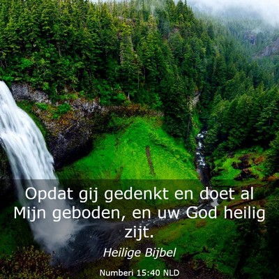 Picture 03 - Numberi 15:40 NLD - Opdat gij gedenkt en doet al Mijn geboden, en uw - Bible Verse Picture