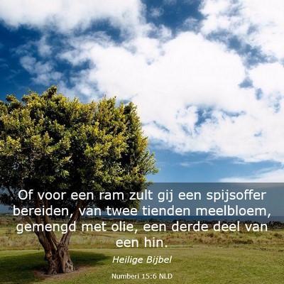 Picture 03 - Numberi 15:6 NLD - Of voor een ram zult gij een spijsoffer bereiden, - Bible Verse Picture