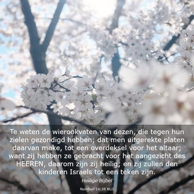 Picture 03 - Numberi 16:38 NLD - Te weten de wierookvaten van dezen, die tegen hun - Bible Verse Picture